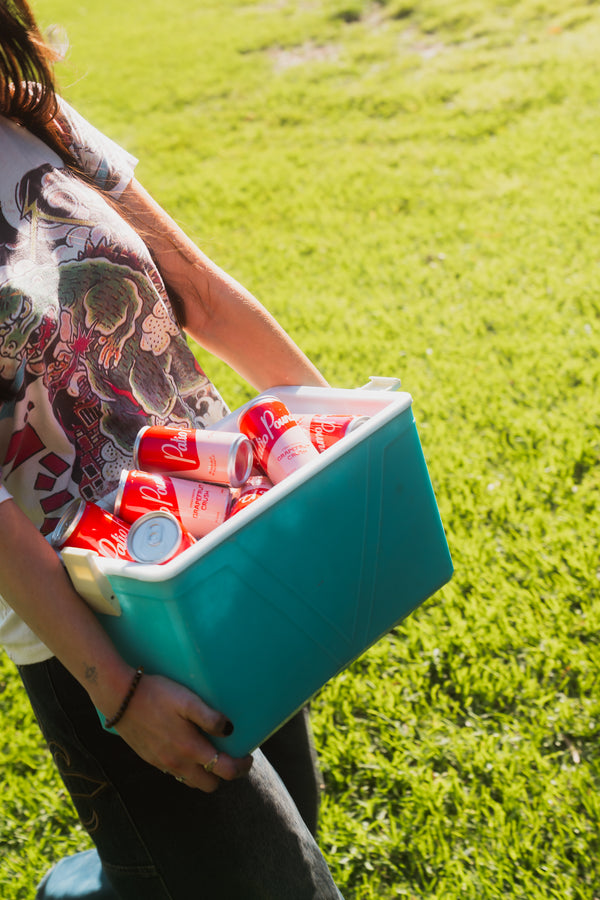 Patio Pounder 250ml 16 pack